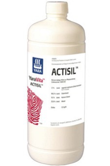 ACTISIL  1L
