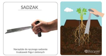 SADZAK - NARZĘDZIE DO RĘCZNEGO SADZENIA TRUSKAWEK 