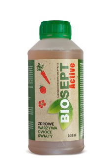 BIOSEPT ACTIVE 500ML