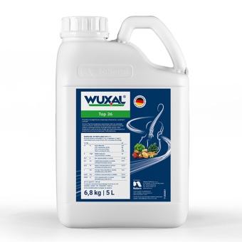 WUXAL TOP 36  5L