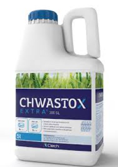 CHWASTOX EXTRA 300 SL 10L