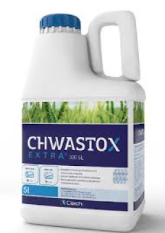 CHWASTOX EXTRA 300 SL 5L