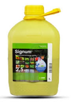 SIGNUM 33 WG 2,5KG