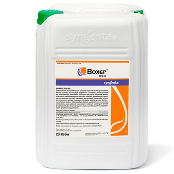 BOXER 800 EC 20L
