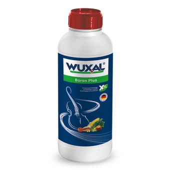 WUXAL BORON PLUS 1L