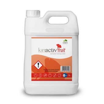 KINAKTIV FRUIT 5L 