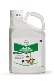 LUNA EXPERIENCE 400 SC 5L (SADOWNICZA)