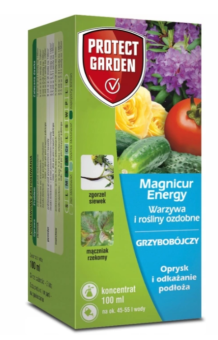 MAGNICUR ENERGY 100ML