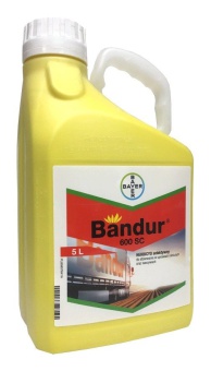 BANDUR 600SC 5L
