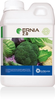 ERNIA 2.0 1L