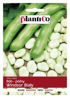 BÓB WINDSOR BIAŁY 50G