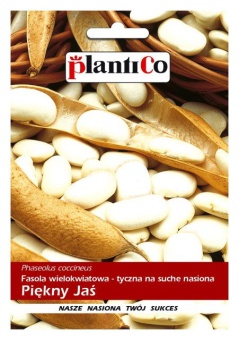 FASOLA WIELOKWIATOWA PIĘKNY JAŚ 40G