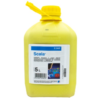 SCALA 5L 