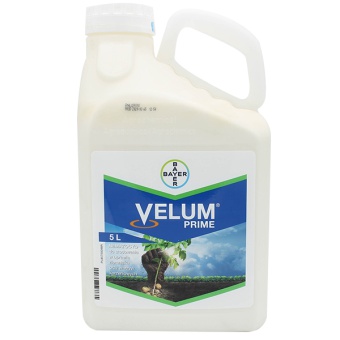 VELUM PRIME 5L