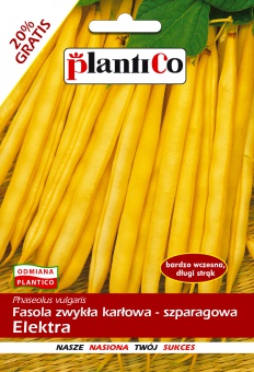 FASOLA ZW.KARŁOWA ELEKTRA 48G