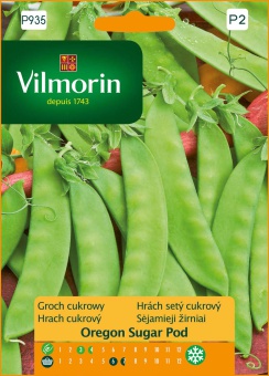 GROCH OREGON SUGAR 40G VILMOR