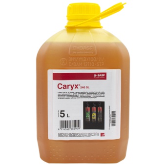 CARYX 240 SL 5L