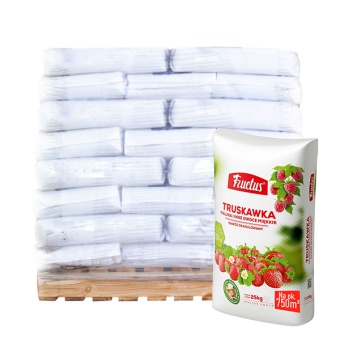 Fructus Truskawka worki 25KG (paleta) - 1 TONA