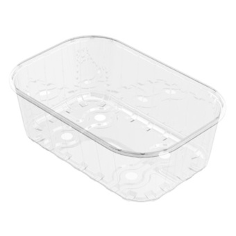 TACKI PLASTIKOWE GUILLIN 250G (F-250/I-49 PET) DÓŁ DO BORÓWKI PROSTOKĄT BEZ WKŁADEK (2300 SZT.)