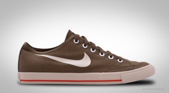 NIKE CLASSIC CANVAS GO CNVS IGUANA