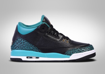 NIKE AIR JORDAN 3 RETRO GG JAGUARS