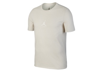 NIKE AIR JORDAN SPORTSWEAR WINGS WASHED TEE LIGHT BONE