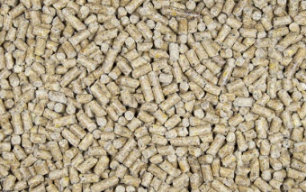 Pasza dla kur Nioska Lider (Bez GMO) granulat - NL
