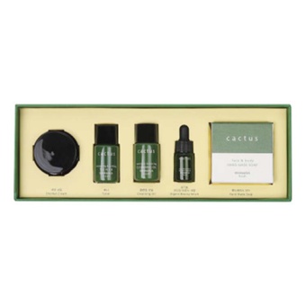 WHAMISA Zestaw 5 mini produktów Cactus Bouncy Mini Kit