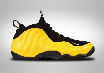 NIKE AIR FOAMPOSITE ONE 'WU TANG' PENNY HARDAWAY