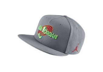 NIKE AIR JORDAN SPACE JAM SNAPBACK COOL GREY