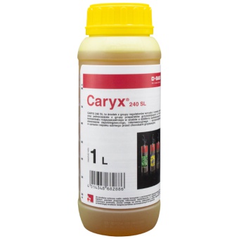 CARYX 240 SL 1L
