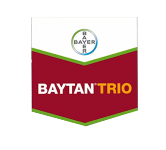 BAYTAN TRIO 180FS 15L