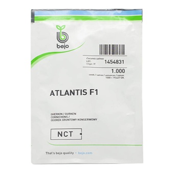 OGÓREK ATLANTIS GRUNTOWY F1 1 tys.