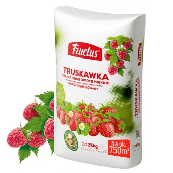 Fructus Truskawka 25KG 