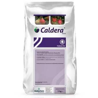 CALDERA 700WG 1KG