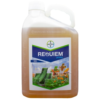 REQUIEM PRIME 10L