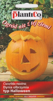 DYNIA OLBRZYMIA BIG MAX (typ HALLOWEEN) 2G