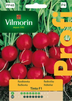 RZODKIEWKA TINTO KULISTA 5G, 