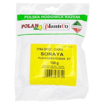 CUKINIA SORAYA 100G DYNIA ZWYCZAJNA