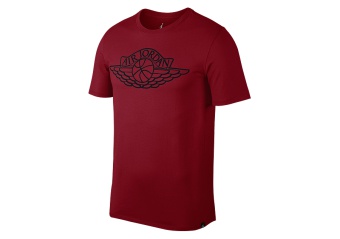 NIKE AIR JORDAN SPORTSWEAR WINGS BRAND 5 TEE GYM RED