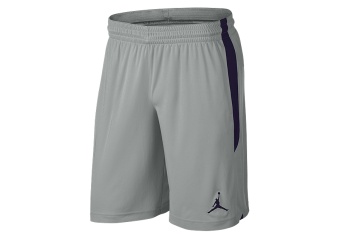 NIKE AIR JORDAN DRI-FIT 23 ALPHA TRAINING SHORTS LIGHT SMOKE GREY