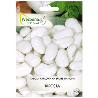 WERBENA FASOLA WIELOKWIATOWA RIPOSTA 40G