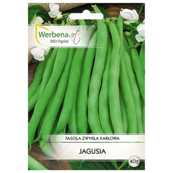 WERBENA FASOLA SZPARAGOWA KARŁOWA JAGUSIA 40G