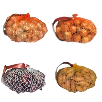CEBULA DYMKA ALLUM CEPA 4SZT MIX (ALIBABA, EFEKT, SOPLICA, VENTA )