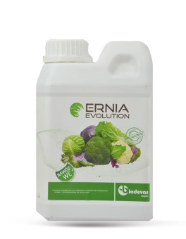 ERNIA Evolution 1L