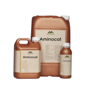 AMINOCAT 30 5 L aminokwasy