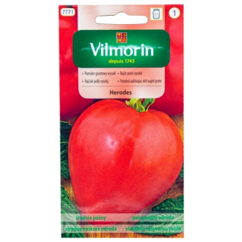 POMIDOR GRUNTOWY WYSOKI HERODES - TYP BAWOLE SERCE 0,3G GC1