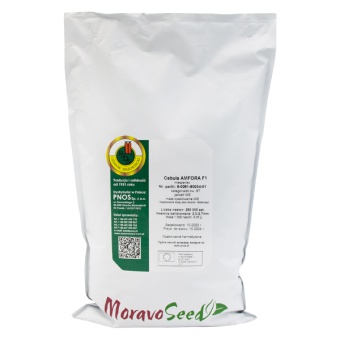 CEBULA AMFORA F1 (2,0-2,7) 250 TYS. ST