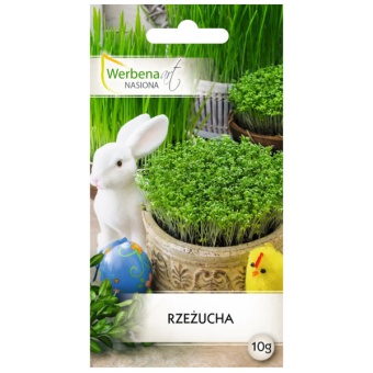 WERBENA RZEŻUCHA OGRODOWA 10G 