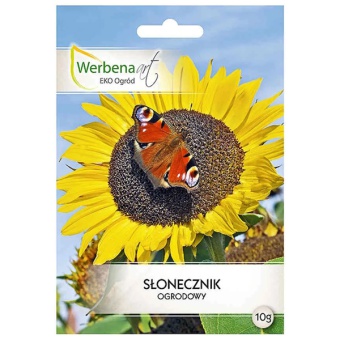 WERBENA SŁONECZNIK OGRODOWY 10G